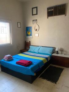 科尔多瓦Casa Mirador Posada Urbana的一间卧室配有一张带蓝色床单的床和一扇窗户。