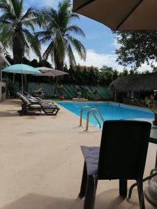 普拉亚科罗纳多B&B EL Litoral的一个带椅子和遮阳伞的游泳池