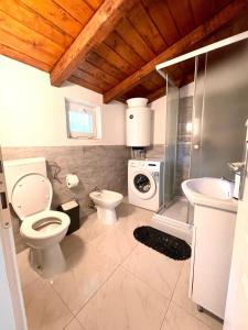 波雷奇Holiday Houses Luan的浴室配有卫生间、盥洗盆和洗衣机。