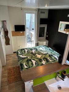 勒格劳德阿格德Mobil home 3 chambres avec jacuzzi的一间卧室,在带水槽的柜台上配有一张床