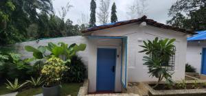 SancoaleWild Orchid 5BHK Villa & Eco Cottages in Sancoale Valley的一间蓝色门的小房子