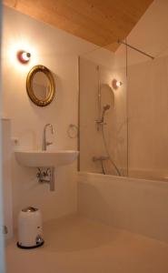 因斯布鲁克Blickfang Tirol的浴室配有盥洗盆和带镜子的淋浴