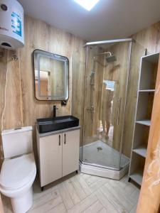 SatyPanorama Glamping的带淋浴、卫生间和盥洗盆的浴室
