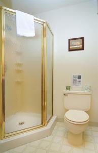 布埃纳维斯塔Vista Court Cabins & Lodge的带淋浴和卫生间的浴室