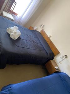 内科切阿Nueva Hostería Rio Colorado Necochea的蓝色床单和毛巾的客房内的一张床位