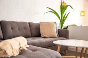 莫罗德哈布雷The Sunny Flair, Relaxing Experience的客厅配有灰色的沙发和桌子