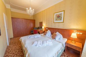 弗兰季谢克矿泉镇Spa Resort PAWLIK-AQUAFORUM的酒店客房,配有带毛巾的床