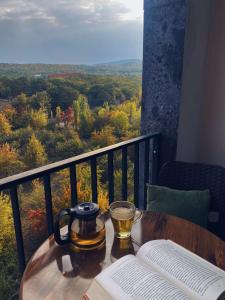 萨克德佐尔镇Цахкадзор кечи аус Уютное студио с видом на лес - Cozy studio with stunning forest views的阳台上的桌子上放着一杯茶和书籍
