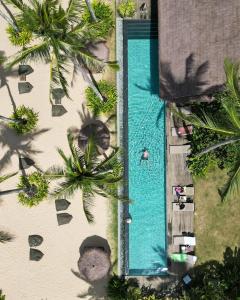 爱妮岛ANGKLA Beach Club & Boutique Resort的享有棕榈树游泳池的顶部景致