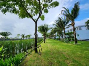 后川Villa 81 Sanctuary Hồ Tràm Resort, built on Jun 2023的草场旁的一排棕榈树