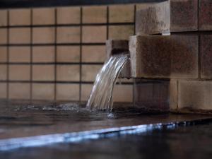 甲府Tabist Hotel Yamashiro Onsen的水源,水源从水源中流出来