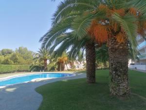 萨洛Salou Apartamento con encanto Martin&RoseHouse的游泳池旁的几棵棕榈树