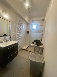 阿纳姆Appartement Arnhem的一间带水槽和镜子的浴室