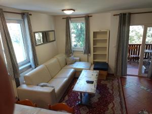 VitanjeRogla Apartma Kekec的客厅配有沙发和桌子