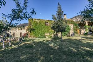 坎塔卢普斯Can Cortada的一座常春藤覆盖的建筑,在院子里有一棵树