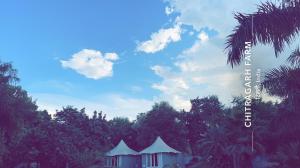 新德里Chitragarh Farm的享有蓝天和树木美景的帐篷