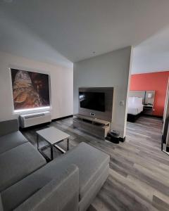 卡尔斯巴德Best Western Plus Executive Residency Carlsbad Hotel的带沙发和平面电视的客厅