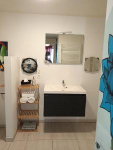 布鲁塞尔Gallery Home的一间带水槽和镜子的浴室
