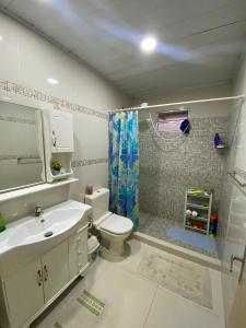 埃斯特城Casa Bignonia Amplio y confortable Ideal para familias con niños y mascotas的一间带水槽、卫生间和淋浴的浴室