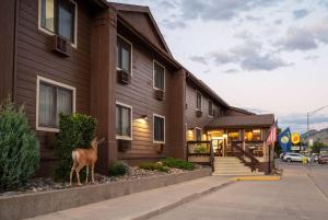 加德纳Super 8 by Wyndham Gardiner/Yellowstone Park Area的站在建筑物前的鹿