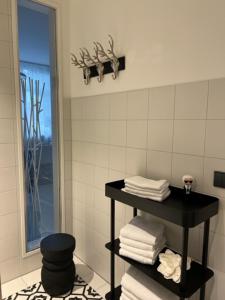 海德瑙InkBlue-Apartment的浴室设有毛巾架和镜子