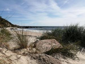 伦讷Holiday Home Lucie - 50m from the sea in Bornholm by Interhome的一片拥有岩石和草地的海滩和海洋