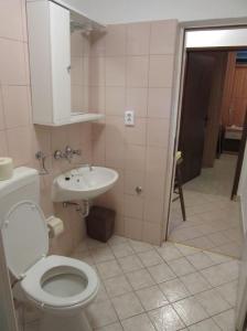 波拉特Villa Kučan的一间带卫生间和水槽的浴室