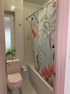 拉雷多casa loopez Hostel的一间带卫生间和淋浴帘的浴室