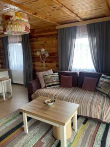 新瓦罗什Zlatar Resort & SPA的带沙发和咖啡桌的客厅