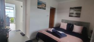 KinghornKINGHORN - Private room, ensuite & sunroom with Fab views的一间卧室配有一张带紫色和粉色枕头的床