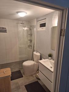 奥拉涅斯塔德Morning Star Aruba的浴室配有卫生间、淋浴和盥洗盆。