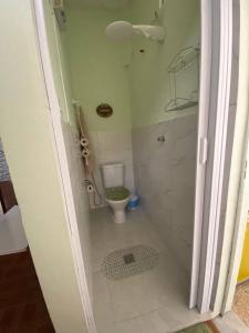 坎普斯戈伊塔卡济斯Casa acolhedora e familiar的一间带卫生间和淋浴的小浴室