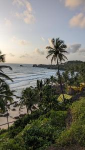 阿贡达Santana Guest House的享有棕榈树海滩和大海的景色