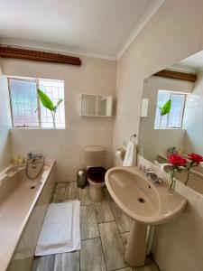 温特顿Berg Escape Kiepersol - Spacious Luxury Family Home的一间带水槽、卫生间和镜子的浴室