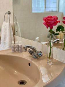 温特顿Berg Escape Kiepersol - Spacious Luxury Family Home的浴室水槽,花瓶里装着玫瑰花