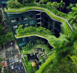 新加坡Luxury 1Bedroom Apartment in Singapore!的植物建筑的头顶景观