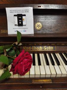 锡吉什瓦拉Casa Adam的坐在钢琴顶上的红玫瑰