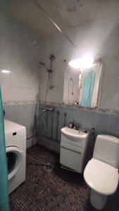 图尔库Central Park Home的一间带卫生间、水槽和镜子的浴室