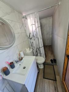 斯库台Alex's House Shirokë的浴室配有白色水槽和卫生间。