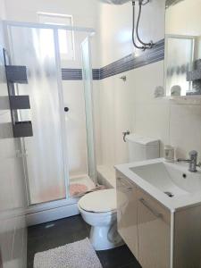 维尔Villa Colonia Vir的浴室配有卫生间、淋浴和盥洗盆。