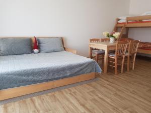 卡什佩尔斯凯霍里Barbora的一间卧室配有一张床、一张桌子和一张双层床。