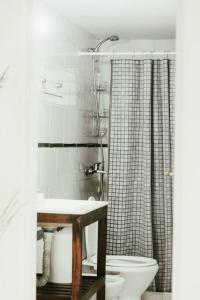 蒂格雷Casa Tipo Loft- Tigre Centro的一间带水槽、卫生间和淋浴的浴室