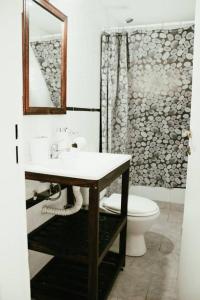 蒂格雷Casa Tipo Loft- Tigre Centro的一间带水槽、卫生间和镜子的浴室
