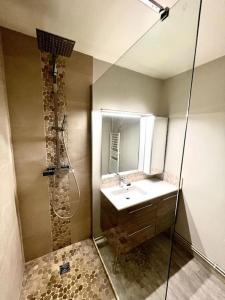 拉罗谢尔Superbe appartement avec parking的一间带水槽和淋浴的浴室