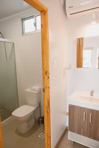 孔奇亚斯HOTEL CONCHILLAS的一间带卫生间、水槽和镜子的浴室