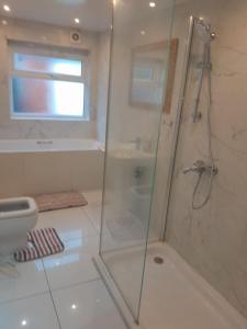 伦敦W3 Guest House的带淋浴和卫生间的浴室