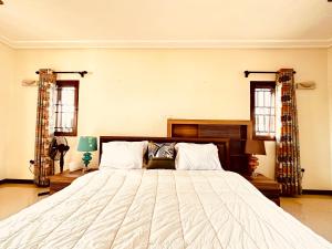 阿克拉Aspen Luxury Villa的一间卧室设有一张大床和两个窗户。