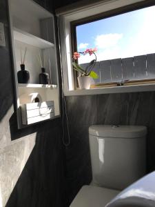 奥克兰Onehunga Garden Tinyhouse的一间带卫生间的浴室和一个带植物的窗户