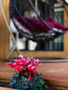 奥克兰Onehunga Garden Tinyhouse的桌子上一盆红色的鲜花,椅子