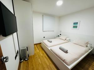 塞拉内华达Apartamento Sierra Nevada Galatino 22D的一间卧室配有两张床和一台平面电视